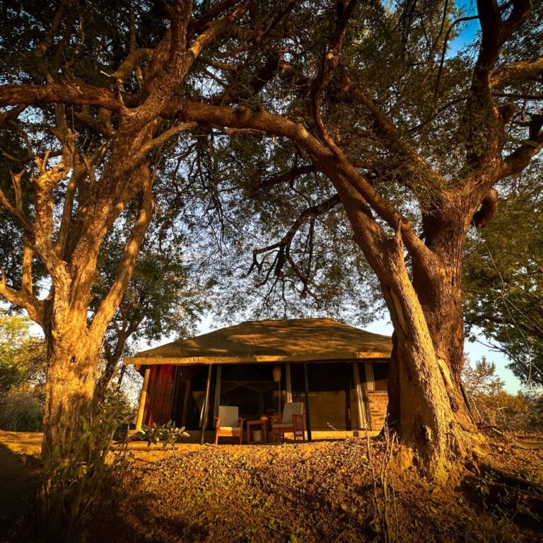 Vundu Camp, Mana Pools, Outpost Africa (4)